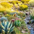 Creating a Drought-Resistant Garden: Tips and Techniques for Sustainable Landscaping