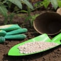 Choosing the Right Fertilizer for Your Garden: A Comprehensive Guide