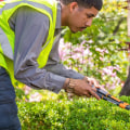 Essential Tips for Pruning and Trimming Trees and Shrubs