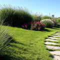 Creating a Low-Maintenance Lawn: Tips and Techniques for Effortless Gardening