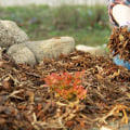 Exploring Common Types of Mulch and Their Benefits for Your Garden
