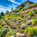 Effective Strategies to Prevent Erosion in Your Garden and Landscape