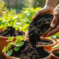Choosing the Right Soil for Your Garden: A Comprehensive Guide