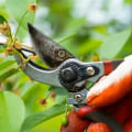 Essential Tips for Pruning Trees and Shrubs in Your Garden