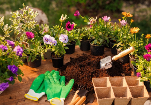 The Ideal Seasons for Planting Your Garden: A Seasonal Guide