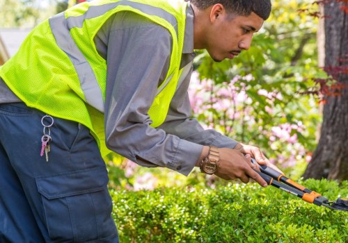 Essential Tips for Pruning and Trimming Trees and Shrubs