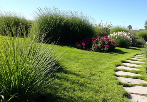 Creating a Low-Maintenance Lawn: Tips and Techniques for Effortless Gardening