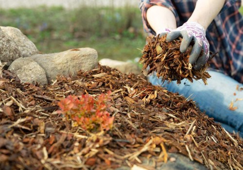 Exploring Common Types of Mulch and Their Benefits for Your Garden